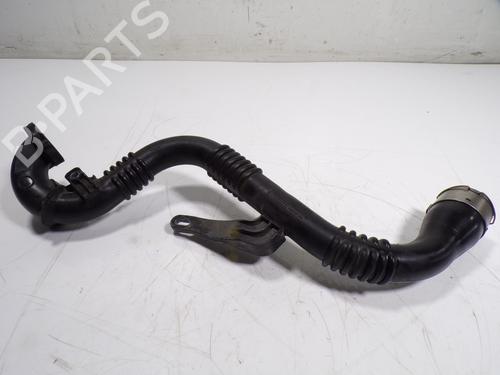 Pipe NISSAN JUKE (F15) 1.2 DIG-T | BP17185117M125