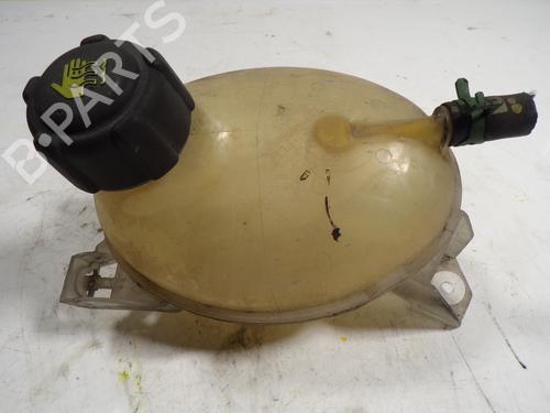 Used Expansion tank RENAULT CLIO IV (BH_) 1.5 dCi 75 (75 hp) 7461123