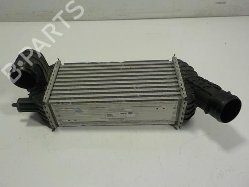 Used Intercooler Intercooler PEUGEOT 5008 (0U_, 0E_) 2.0 HDi (163 hp) 12532010 12532010