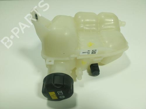 Expansion tank BMW X2 (F39) xDrive 20 i | BP24578108C120 