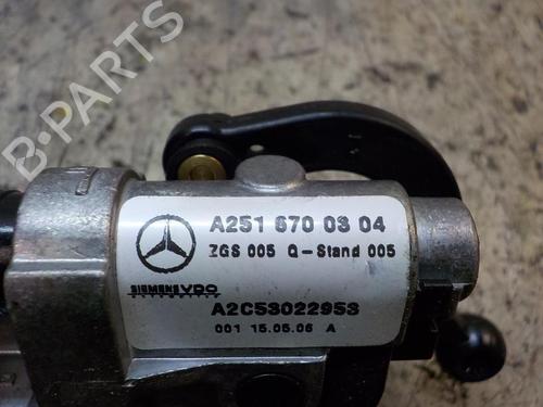Elektronische module MERCEDES-BENZ R-CLASS (W251, V251)  | BP3846208M83 