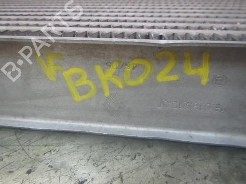 Intercooler RENAULT MEGANE II (BM0/1_, CM0/1_) 1.5 dCi (BM1E, CM1E) | BP3830082M30