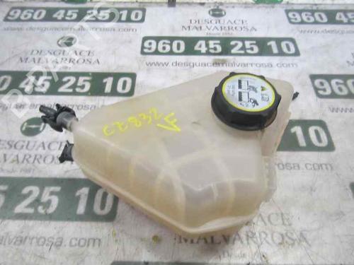 Used Expansion tank FORD FIESTA VI (CB1, CCN) 1.25 (82 hp) 3860285