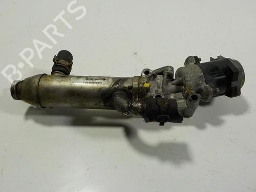 Egr LAND ROVER RANGE ROVER SPORT I (L320) 2.7 D 4x4 | BP13936459M69 