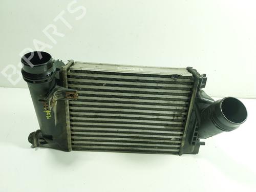 Intercooler NISSAN X-TRAIL III (T32_, T32R, T32RR) 1.6 dCi (T32) | BP20096115M30