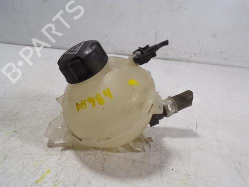 Used Expansion tank Expansion tank PEUGEOT PARTNER Box Body/MPV (K9) [2018-2026] 9096575 9096575