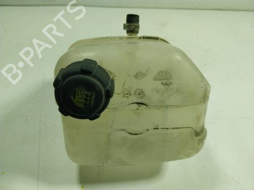Expansion tank RENAULT KANGOO Express (FW0/1_) Z.E. (FW0Z, FW1Z) | BP17336908C120 