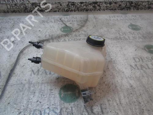 Expansion tank FORD FIESTA VI (CB1, CCN)  | BP3839286C120