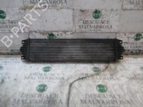 Intercooler NISSAN INTERSTAR Van (X70) dCi 115 (115 hp) 3842799