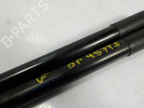 Tailgate lift support AUDI A1 (8X1, 8XK)  | BP14284975C138 