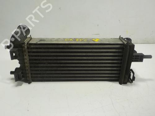 Used Intercooler Intercooler FORD FOCUS III 1.0 EcoBoost (125 hp) 11089587 11089587