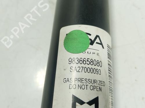 Left rear shock absorber PEUGEOT 2008 II (UD_, US_, UY_, UJ_, UR_, UC_) 1.2 PureTech 100 (USHNK) | BP27467590M18 