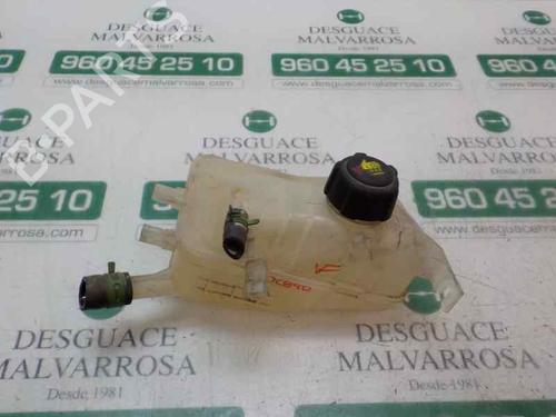 Used Expansion tank RENAULT MEGANE III Hatchback (BZ0/1_, B3_) 1.5 dCi (BZ0C) (90 hp) 4021993