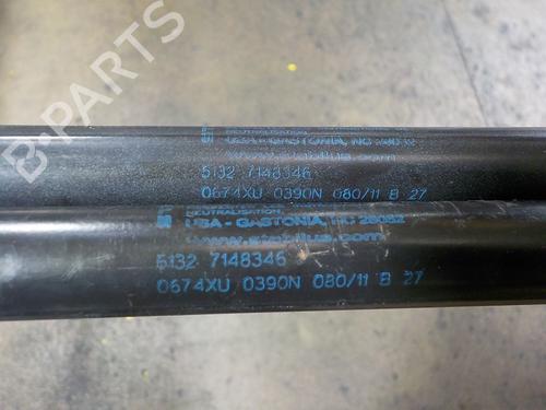 Hood lift support BMW X5 (E70) xDrive 40 d | BP14289131C139 
