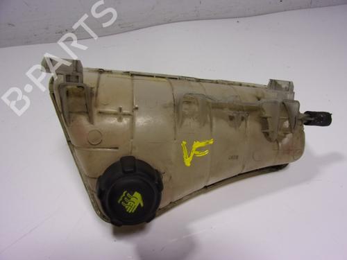 Used Expansion tank RENAULT KANGOO / GRAND KANGOO II (KW0/1_) [2008-2025]  15914643