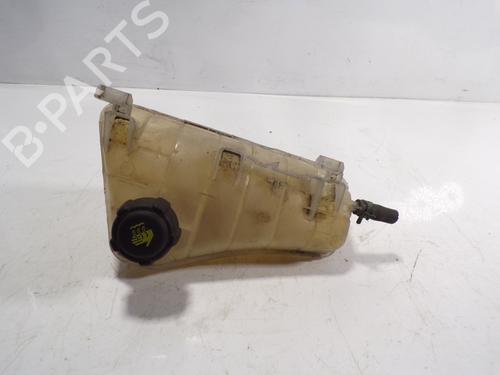 Used Expansion tank RENAULT KANGOO / GRAND KANGOO II (KW0/1_) [2008-2025]  6870586