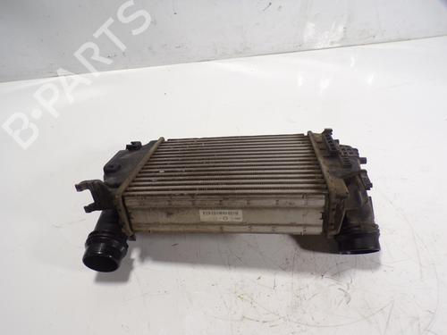 Intercooler NISSAN X-TRAIL III (T32_, T32R, T32RR) 1.6 dCi (T32) | BP7654790M30 