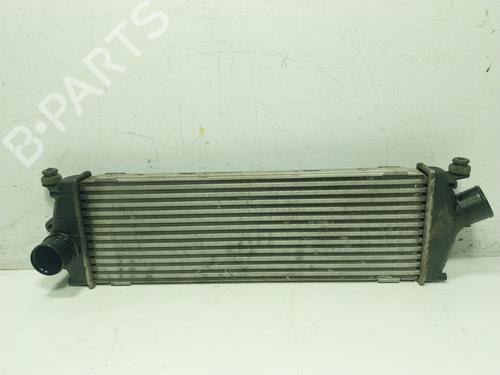 Used Intercooler Intercooler RENAULT TRAFIC II Van (FL) 2.0 dCi 90 (FL0H, FL00, FL01, FL0M, FL0P, FL0S) (90 hp) 28571544 28571544