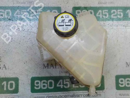 Expansion tank FORD FIESTA VI (CB1, CCN) 1.25 | BP5875974C120
