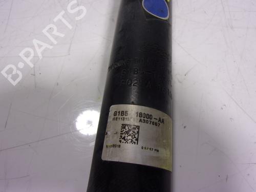 Right rear shock absorber FORD KA+ III (UK, FK)  | BP17219859M19 