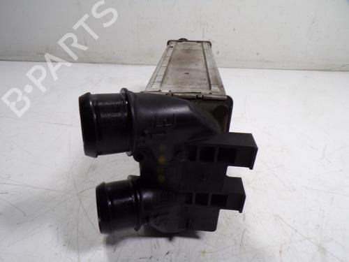 Intercooler CITROËN C4 II (NC_)  | BP15416956M30 