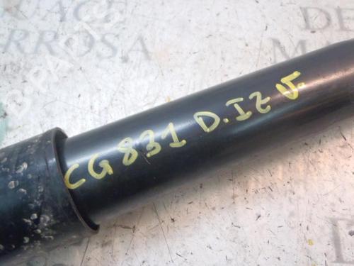 Left front shock absorber LAND ROVER DISCOVERY II (L318) 2.5 Td5 4x4 | BP3816262M16 