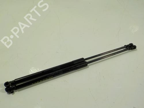 Used Hood lift support LEXUS NX (_Z1_) [2014-2025]  14287542