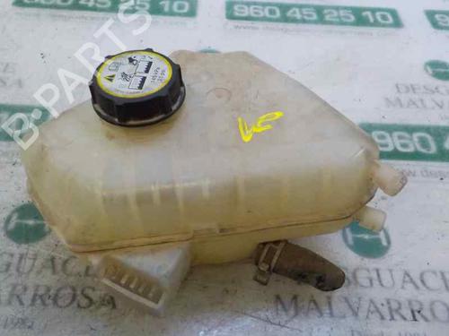 Used Expansion tank FORD FIESTA VI (CB1, CCN) 1.25 (60 hp) 6139047