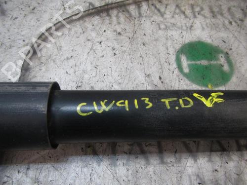 Right rear shock absorber RENAULT CLIO III Grandtour (KR0/1_) 1.5 dCi (KR0F) | BP3838863M19 