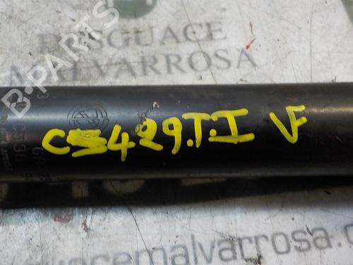 Left rear shock absorber LANCIA MUSA (350_) 1.9 D Multijet (350.AXC1A) | BP4000020M18 