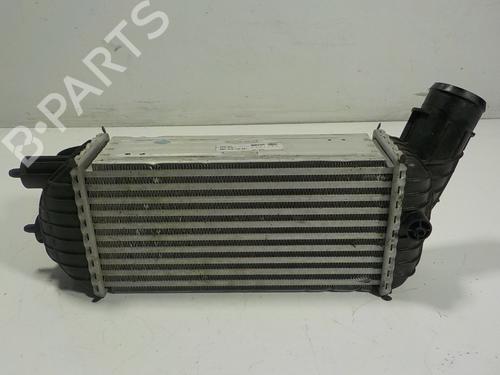 Intercooler PEUGEOT 5008 (0U_, 0E_) 2.0 HDi | BP12532010M30 