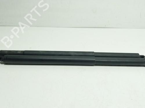 Used Tailgate lift support Tailgate lift support VW TIGUAN (CT1) [2023-2026] 36157333 36157333