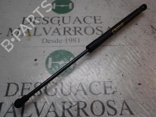 Used Hood lift support VW CADDY III Box Body/MPV (2KA, 2KH, 2CA, 2CH) 2.0 SDI (70 hp) 14272525