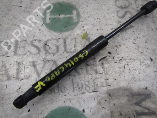 Used Hood lift support RENAULT SCÉNIC III (JZ0/1_) 1.5 dCi (106 hp) 14274577