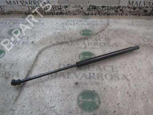Tailgate lift support CADILLAC SRX 3.6 15872898