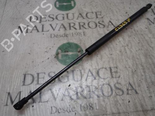Used Hood lift support CITROËN XSARA (N1) 1.9 D (68 hp) 14273212