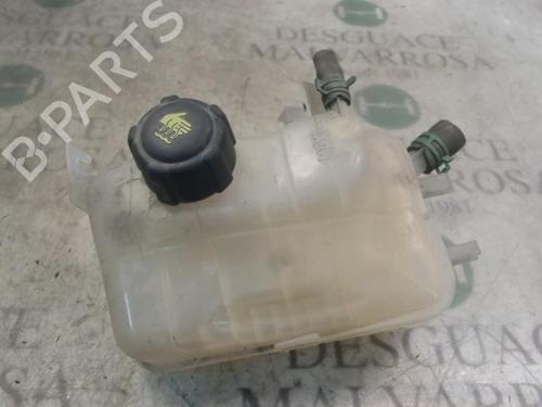 Used Expansion tank RENAULT MEGANE III Hatchback (BZ0/1_, B3_) 1.5 dCi (106 hp) 3799005