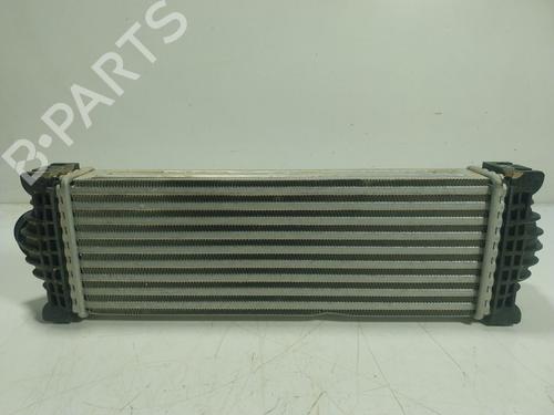 Intercooler FORD TRANSIT V363 Platform/Chassis (FED, FFD) | BP24522621M30 - Image 2