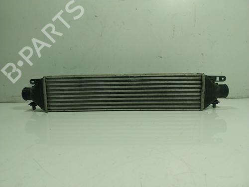 Intercooler FIAT DOBLO Cargo (263_) 1.6 D Multijet (263WXD1B, 263WXR1B, 263WXX1B, 263ZXD1B,... | BP16950305M30