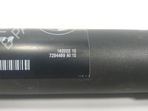 Tailgate lift support BMW X5 (F15, F85) xDrive 25 d | BP19253514C138 