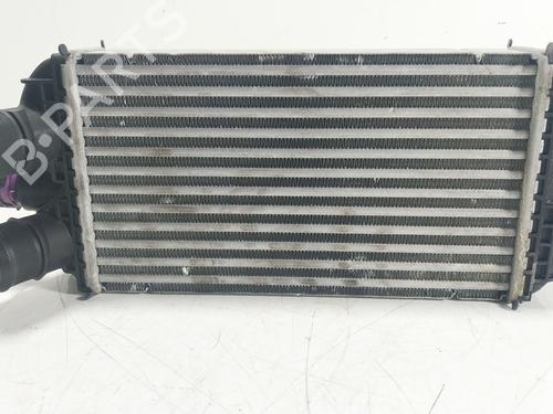 Used Intercooler Intercooler PEUGEOT 2008 II (UD_, US_, UY_, UJ_, UR_, UC_) 1.2 PureTech 100 (USHNK) (101 hp) 27467617 27467617
