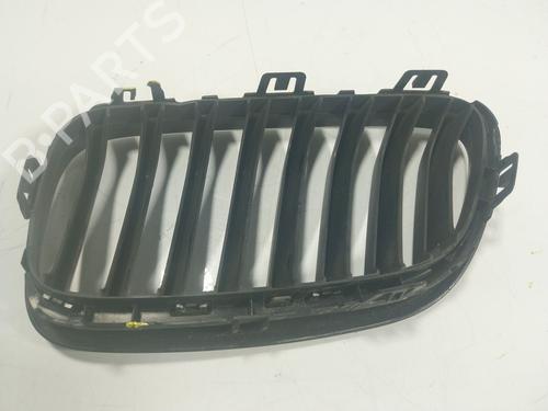 Grille BMW 2 Coupe (F22, F87) M 235 i | BP17454205C40 