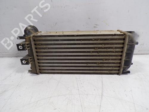 Intercooler CITROËN BERLINGO MULTISPACE (B9) | BP8818424M30 - Image 2