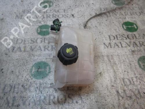 Ausgleichsbehälter RENAULT MEGANE III Hatchback (BZ0/1_, B3_) 1.5 dCi (BZ09, BZ0D, BZ1W, BZ29, BZ14) | BP3841356C120