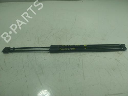 BP17441611C138 main image
