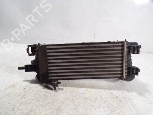 Used Intercooler Intercooler FORD FOCUS III 1.0 EcoBoost (125 hp) 8509536 8509536