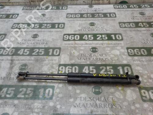Used Tailgate lift support TOYOTA YARIS (_P1_) [1999-2005]  14281379