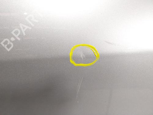 Left front door MERCEDES-BENZ SLK (R171) 200 Kompressor (171.445) | BP29113654C2 