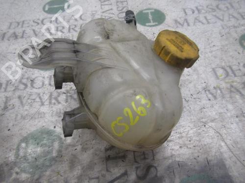 Used Expansion tank OPEL CORSA D (S07) 1.2 (L08, L68) (80 hp) 3827492
