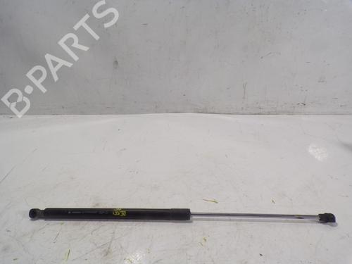 Used Hood lift support DACIA SANDERO II 1.2 (75 hp) 14286803